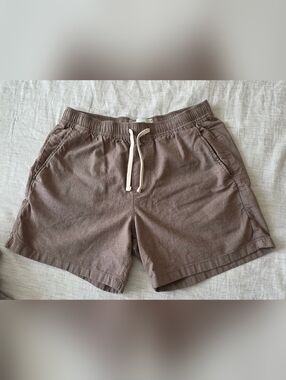 Hollister Men's Shorts in Light Brown